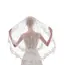 Women's Short 2 Tier Lace Wedding Bridal Veil With Comb