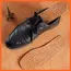 1 Pair Cowhide Insoles For Shoes Men Comfortable Deodorant Casual Leather Insole Feet Quality Genuine Leather Flats Shoe Sole