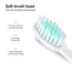 Children's Electric Toothbrush Kid Cartoon Ultrasonic Sonic Electric Toothbrush with 5 Replacement Heads Electric Brush Children